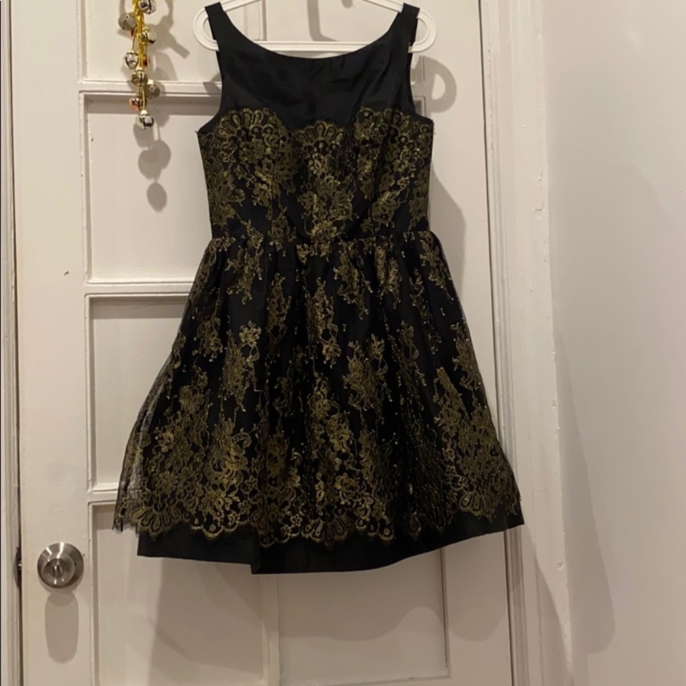 Beautiful Monique Lhuillier dress